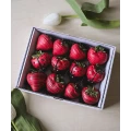 Ladybug strawberries 3
